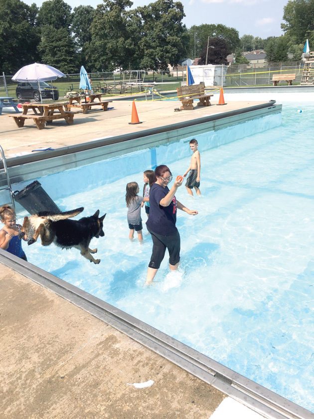 ‘Drool in the Pool’ - The Review